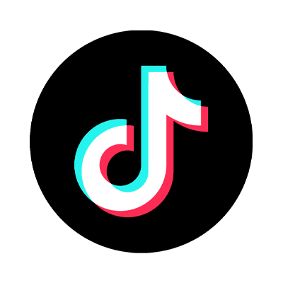 TikTok Logo Icon